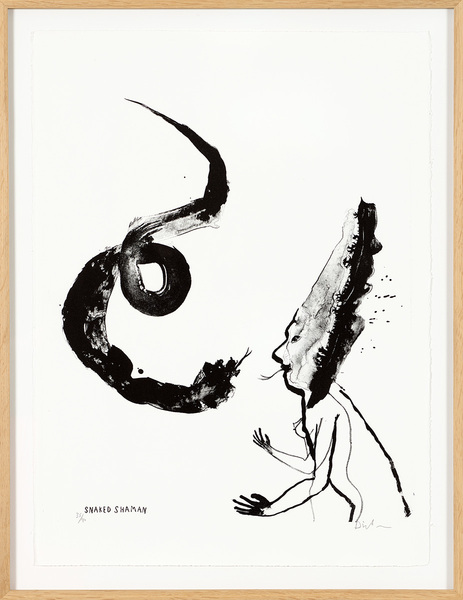 Snaked Shaman, 37/40 (encadré)