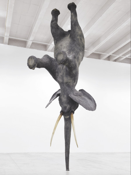 Würsa à 18000 km de la terre, 2006