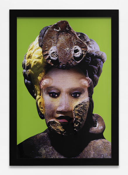 Self-Hybridation Précolombienne n°35