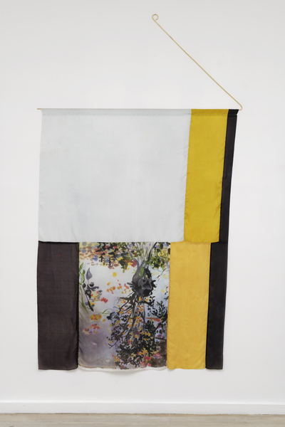 Beech Forest, Provincetown, 10-11-18