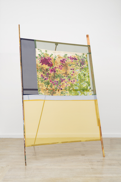 Cassis Flowers, yellow shield