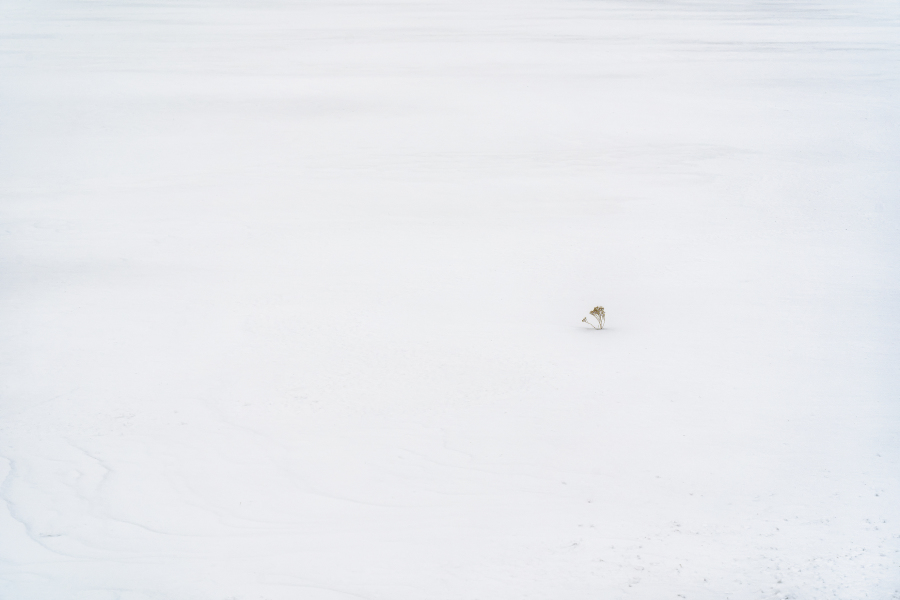 Emergence 0369 - PH897 - #1/3