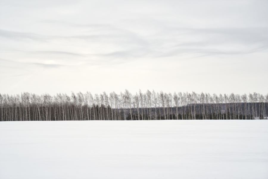 Nostalgia 0377 - PH1187 - #1/3