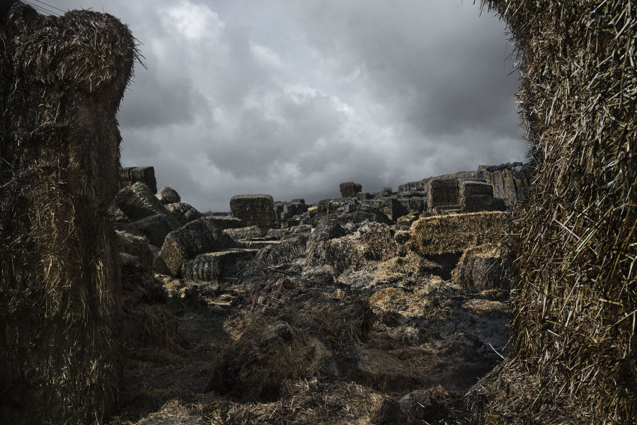 Desolation Row - Edition 1/3 - F3A2191 - PH852