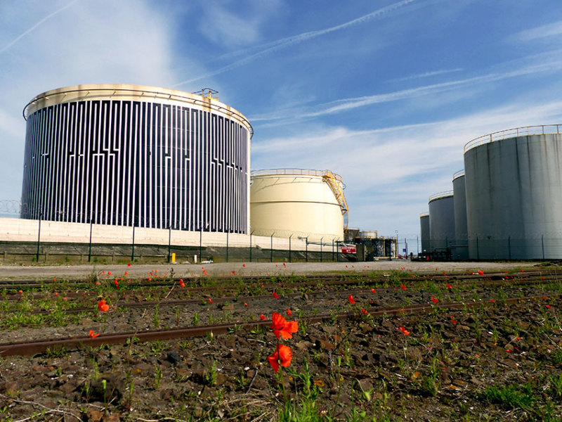 SES OS SE SONT CHANGES EN CORAIL, PERLES SONT DEVENUES SES YEUX