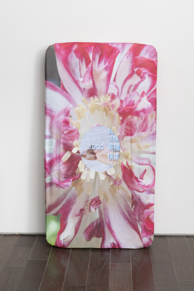 I'm a janitor, oh my genitals!...