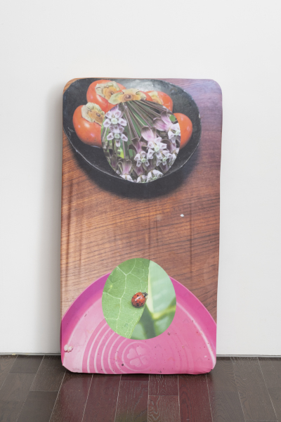 Poor Americans think education is discipline and punishment, rich Americans think education is congratulations, celebrations, and access...