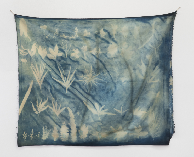 The fragrance of the flowers lifts my soul