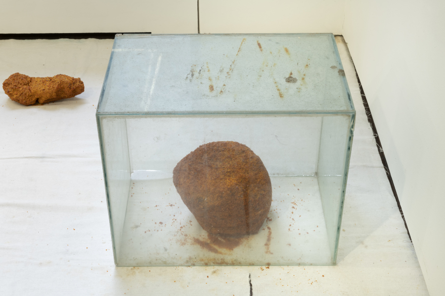 On the bosom of the earth  I pour my soul