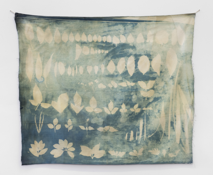 My feet touch the grass as I walk to the forest