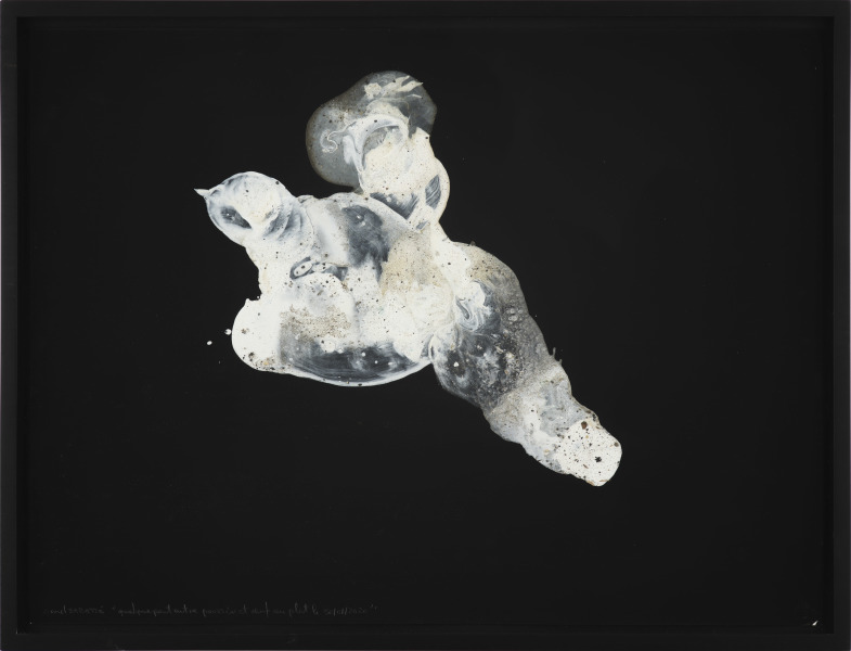 Quelque part entre le poussin et l'oeuf au plat 30/01/2020