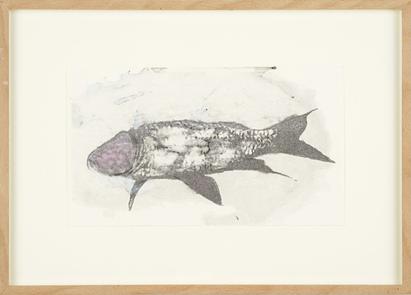 Poisson clown / poisson pilote 