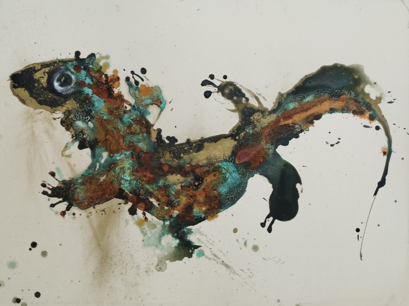 Salamandre Nutrisco et Extinguo du 07-12-2022