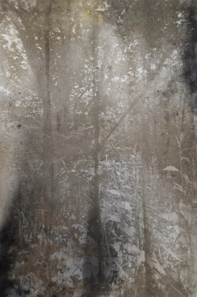 Poussières des cimes du 25-06-2023, Ascension