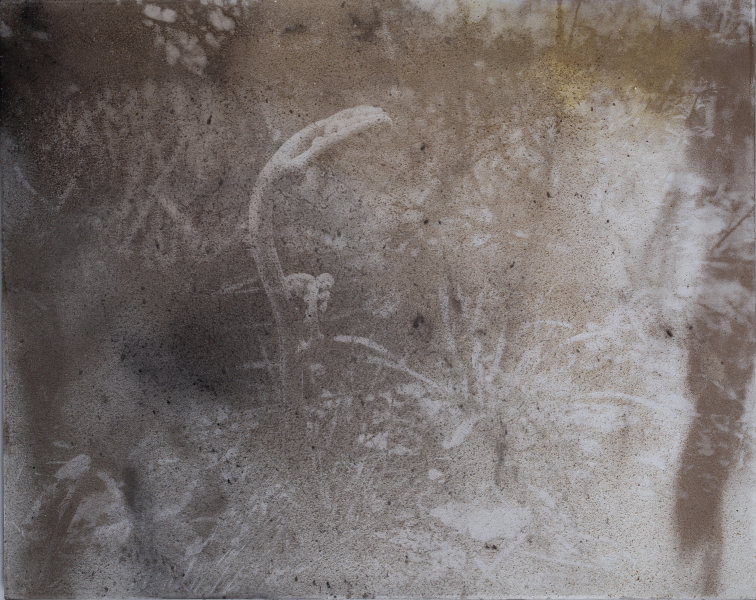 Éclosion du 18-06-2023, Fougères