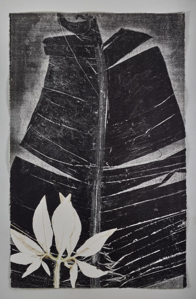 Mes impressions - livre n°36