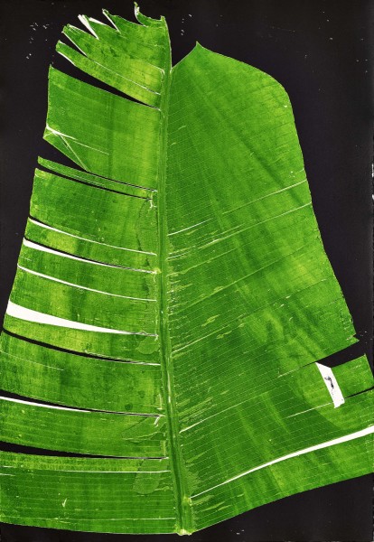 Mes impressions - livre n°38