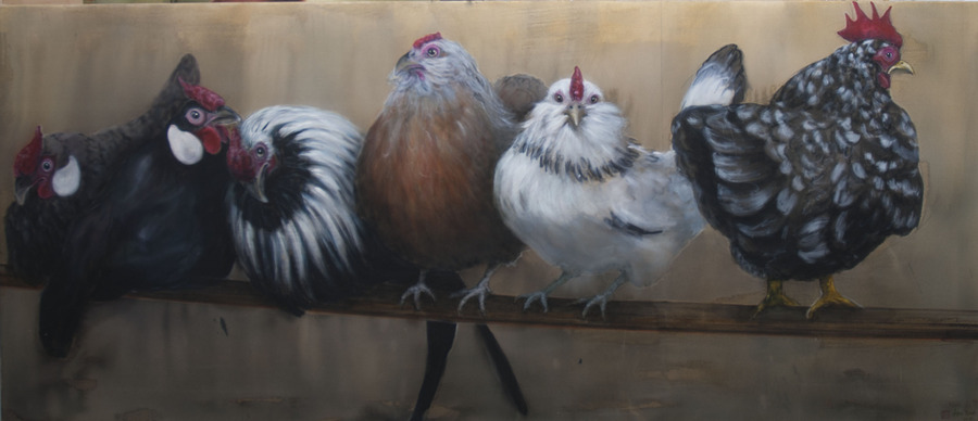 Poules perchées avec un coq