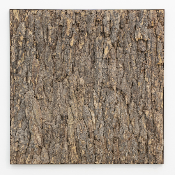 Au fond de la forêt