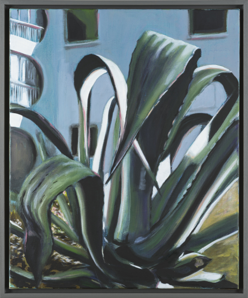 Sans titre La grande motte