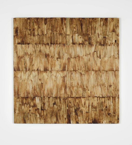 Potagerie de poireaux