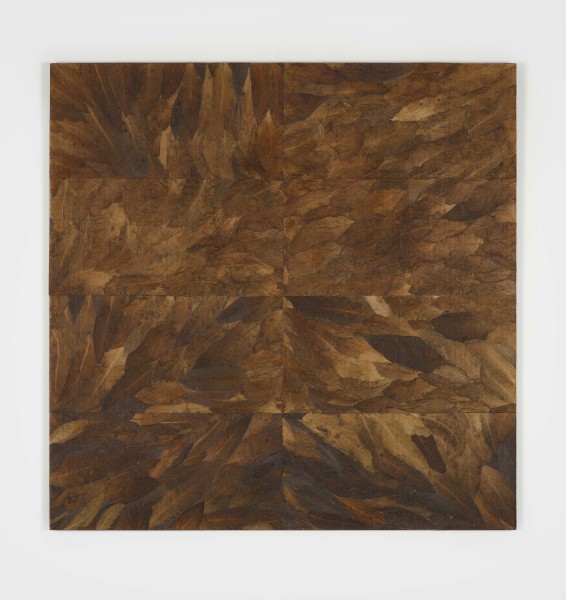 Potagerie de Consoude n°2