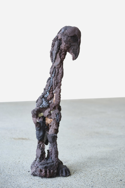 Phoenix du 01-02-2025