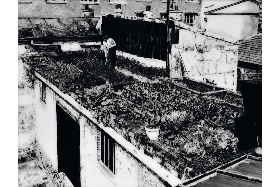 Jardin potagé sur un toit de Paris, 1939,