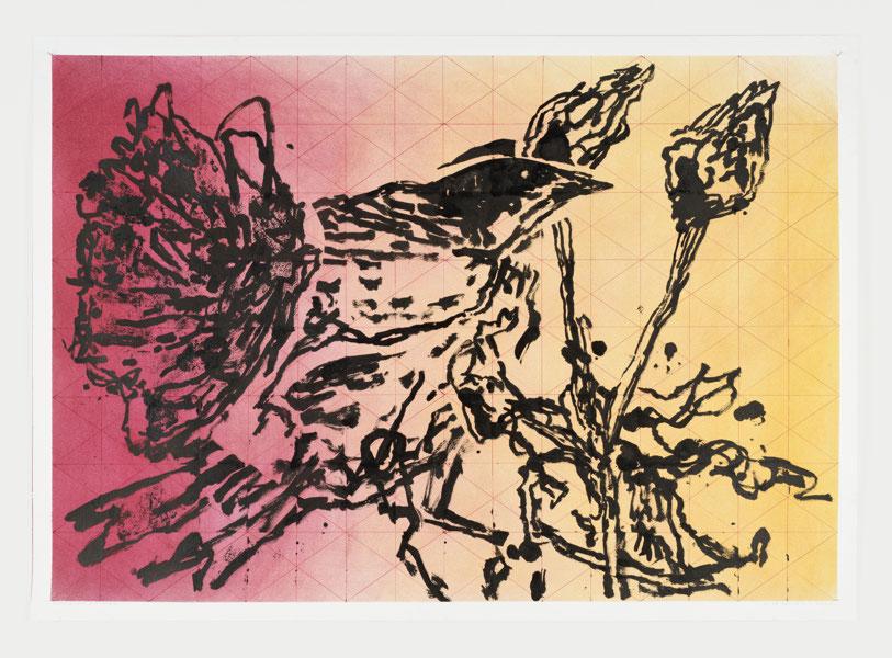 Plants & Rags & Birds #1