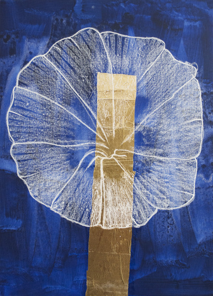 Bartok Blanc Bleue 4