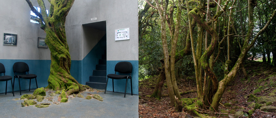 Sans Titre 2013 exemplaire 1/3