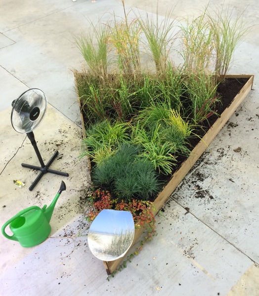 Sunday is my favorite day