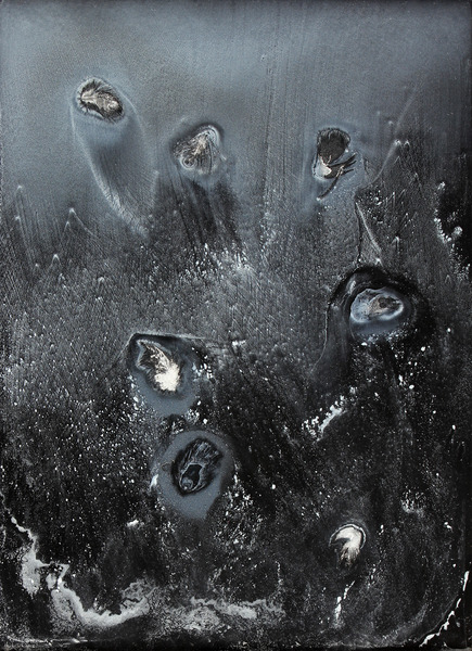 Amas A. P002 dit des plumes