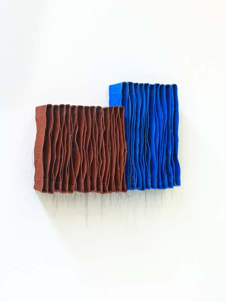 Streatham wallspine ( brown and blue )