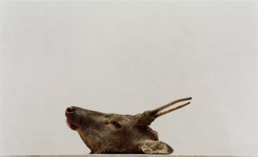 Sans titre (17), Edition 3/5