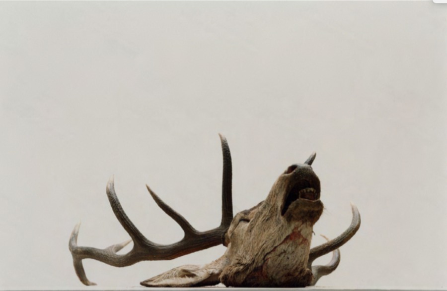 Sans titre (20), Edition 2/5