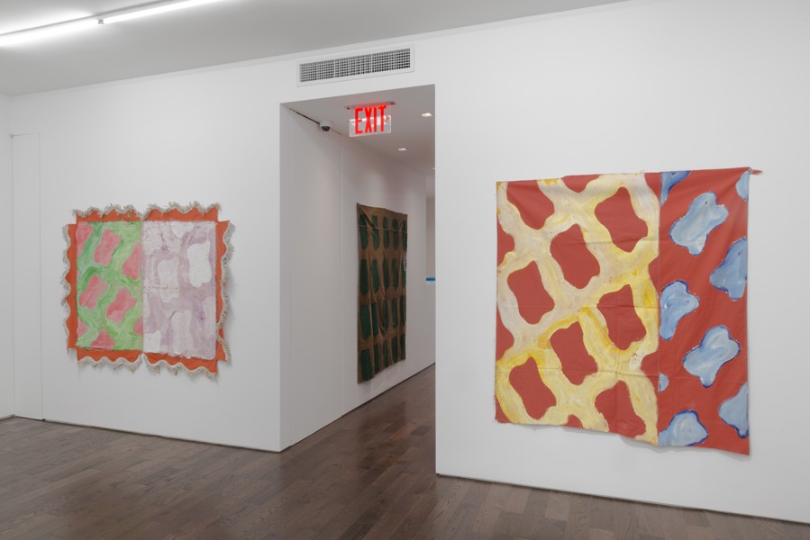 5_Claude Viallat Major 2017 New York 1055