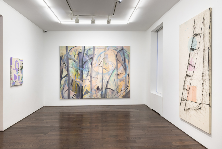 Exhibition View-Jesse Willenbring-Family Landscapes-©Adam Reich-courtesy Ceysson & Bénétière (2)