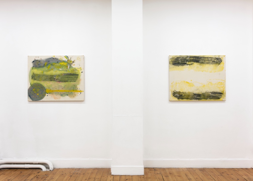 Exhibition view - Denis Castellas - Saint-Etienne Juin 2021