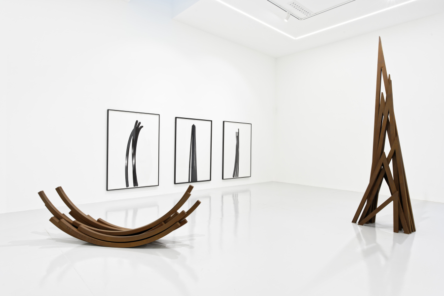 Exhibition view - Bernar Venet - Saint-Etienne - 2021