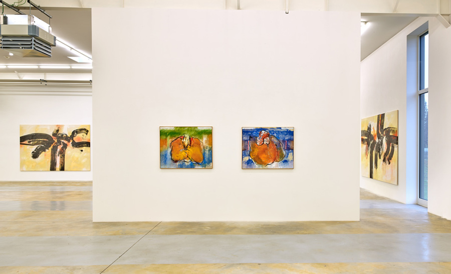 Exhibition-views-Robert-Brandy-Sandra-Lieners-Décembre-2021-Wandhaff©StudioRémiVillaggi-Courtesy-C&B#7