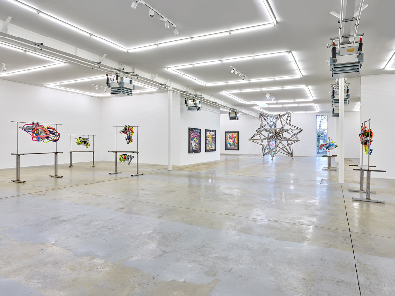 Vue d’exposition Frank Stella Wandhaff 2022 #12