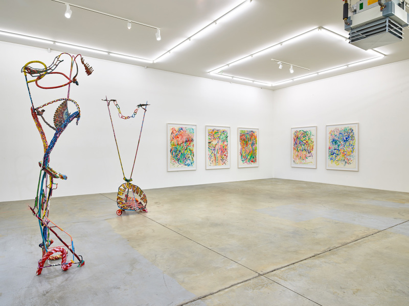 Exhibition-view-Nancy-Graves-Wandhaff-Juin-2022#4