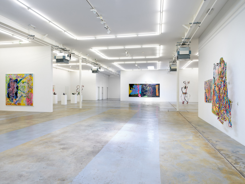 Exhibition-view-Nancy-Graves-Wandhaff-Juin-2022#6