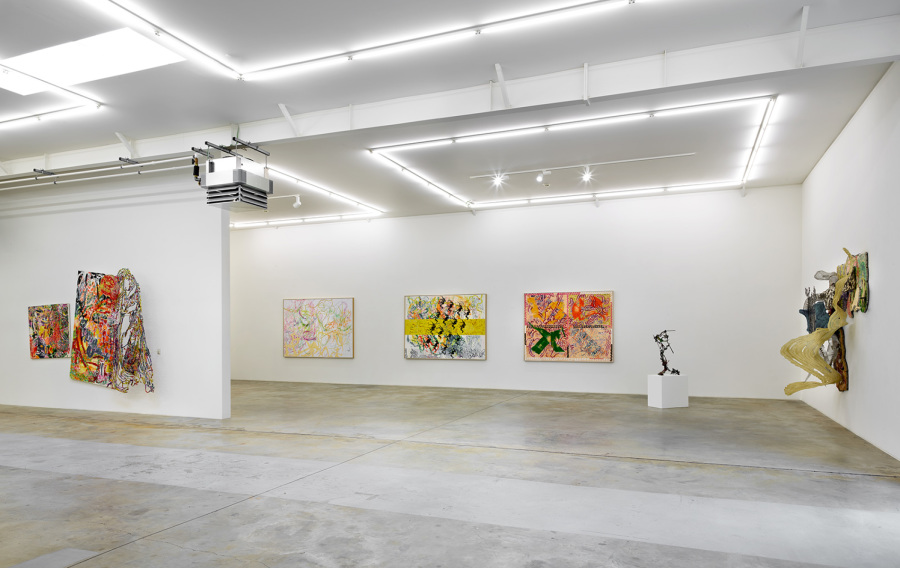 Exhibition-view-Nancy-Graves-Wandhaff-Juin-2022#7