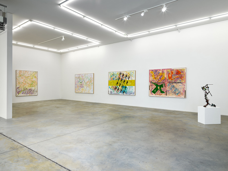 Exhibition-view-Nancy-Graves-Wandhaff-Juin-2022#8