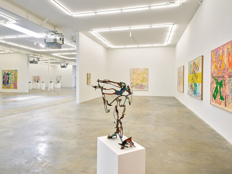 Exhibition-view-Nancy-Graves-Wandhaff-Juin-2022#9