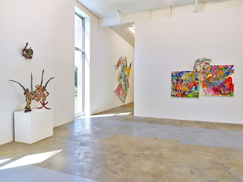 Exhibition-view-Nancy-Graves-Wandhaff-Juin-2022#11