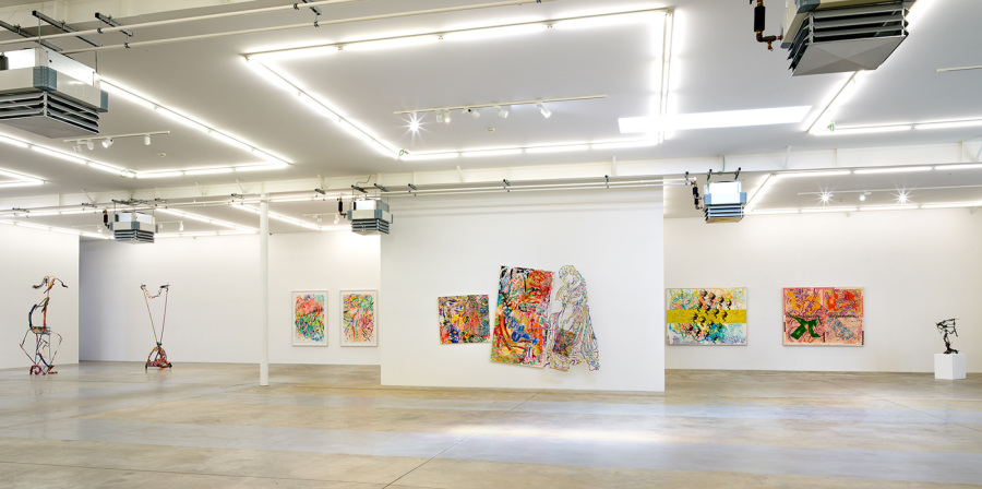 Exhibition-view-Nancy-Graves-Wandhaff-Juin-2022#12