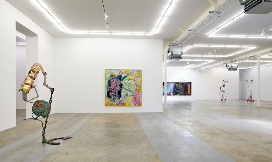 Exhibition-view-Nancy-Graves-Wandhaff-Juin-2022#14